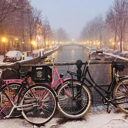 Manikomio Amsterdam